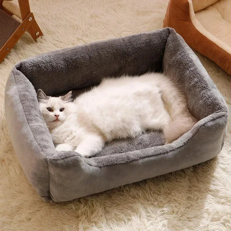 Cozy Kitten Cushion Bed