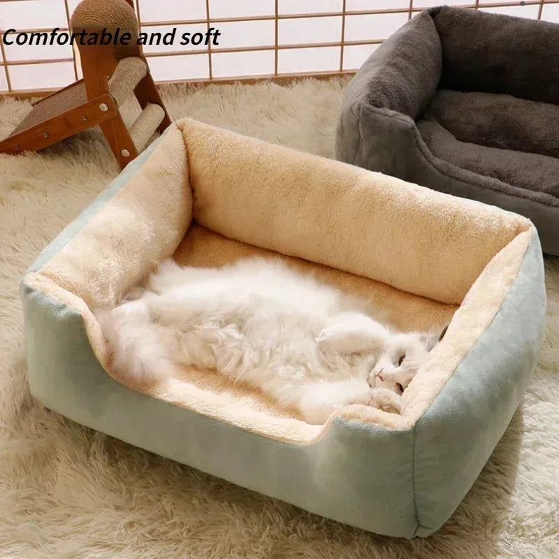 Cozy Kitten Cushion Bed
