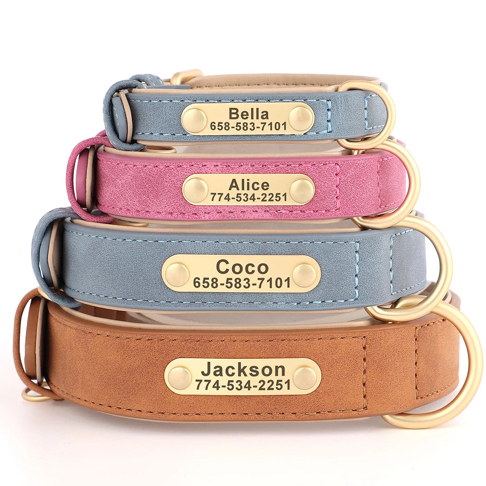 Personalised Leather Dog Collar