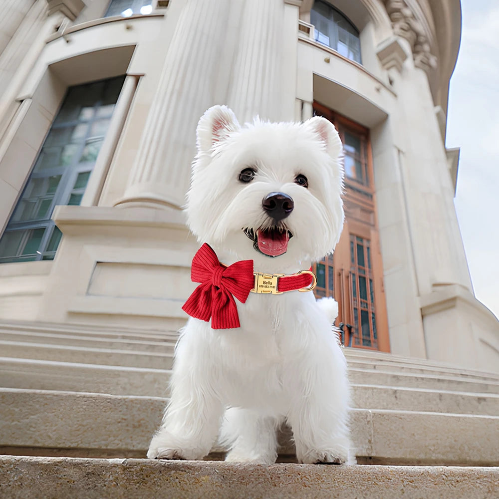 Personalized Bow Collar