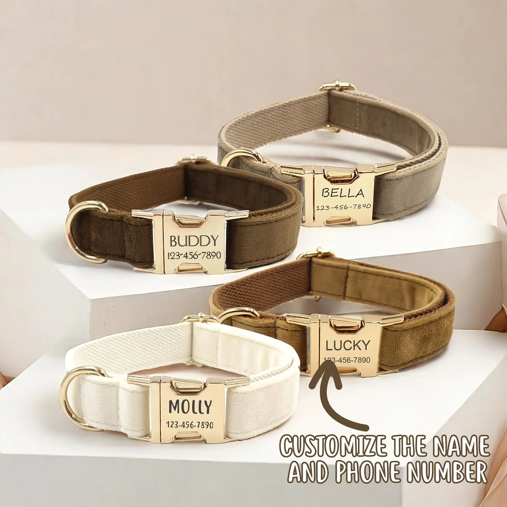 Personalised Velvet Dog Collar