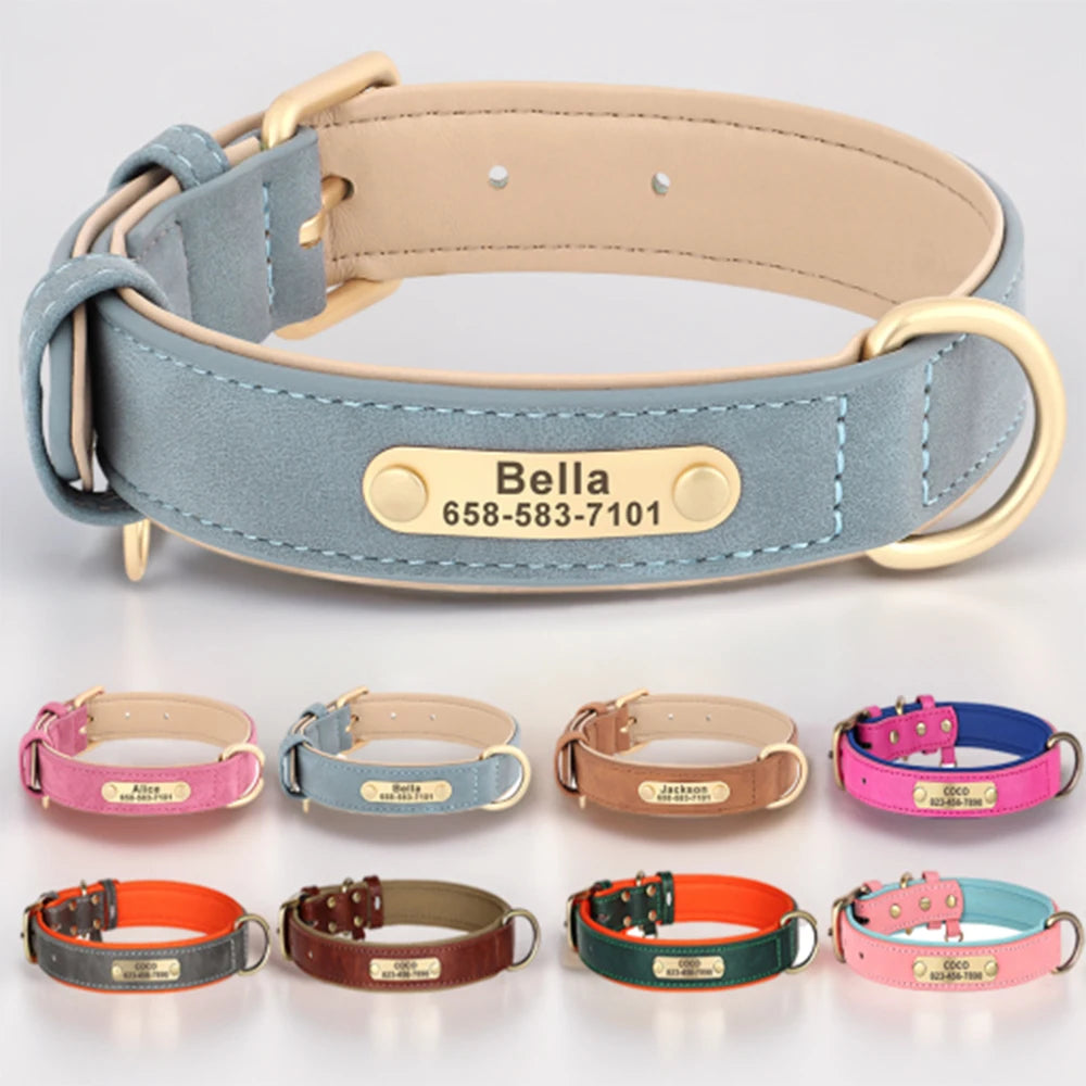 Personalised Leather Dog Collar