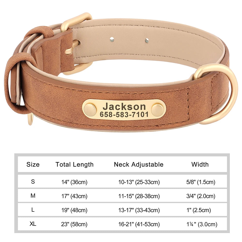 Personalised Leather Dog Collar