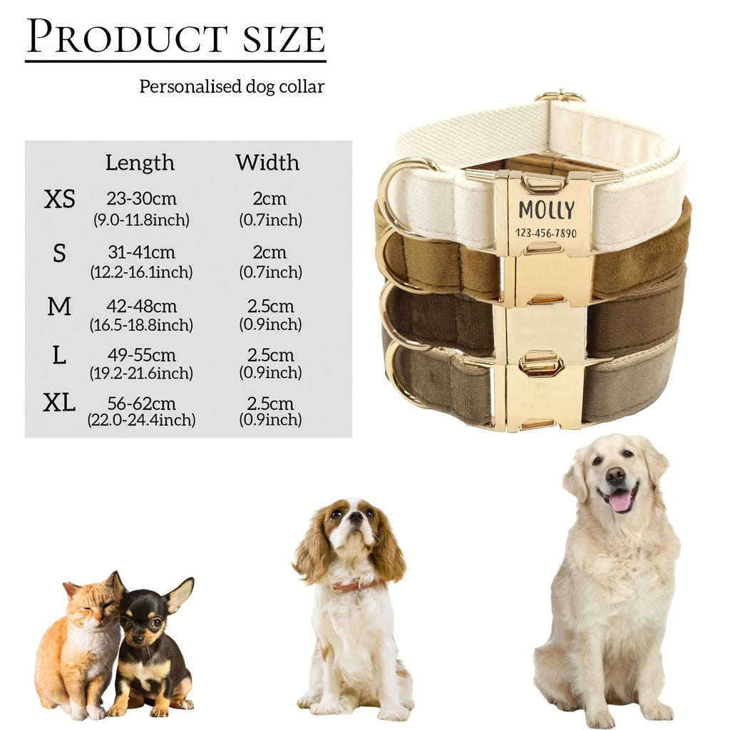 Personalised Velvet Dog Collar