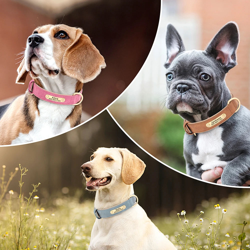 Personalised Leather Dog Collar