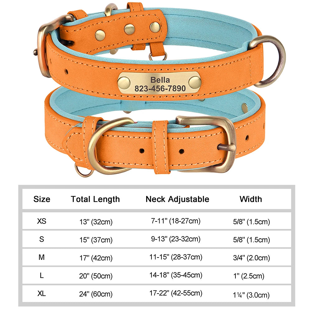 Personalised Leather Dog Collar