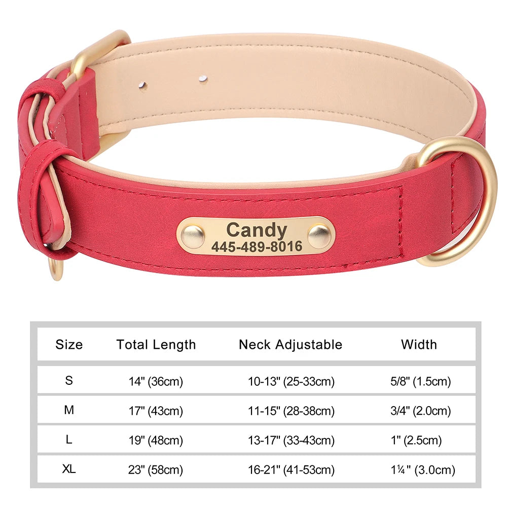 Personalised Leather Dog Collar