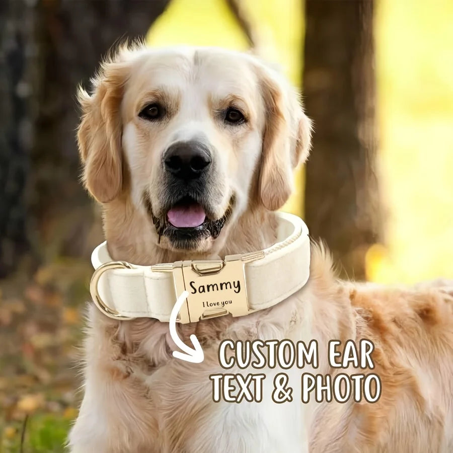 Personalised Velvet Dog Collar